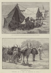Hindistan